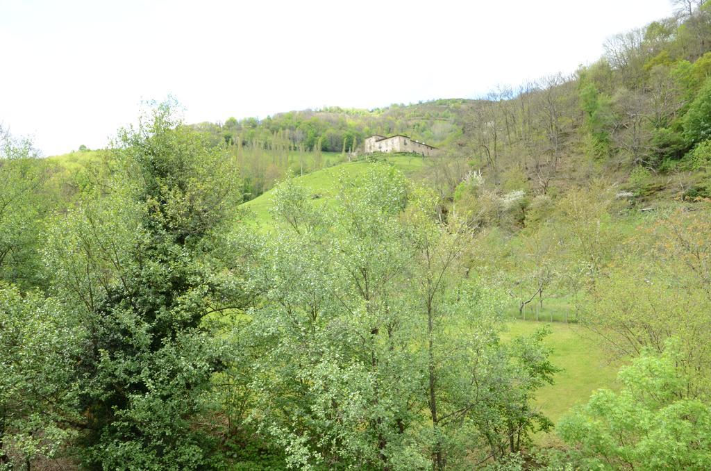 Apartamentos El Rincon De Limes Cangas De Narcea Exterior photo